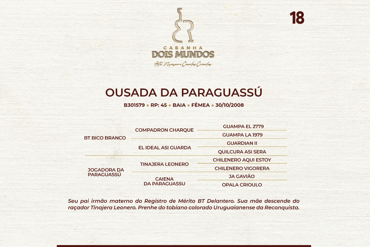 Geração OUSADA DA PARAGUASSÚ