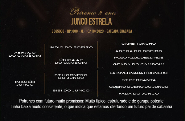 Geração JUNCO ESTRELA