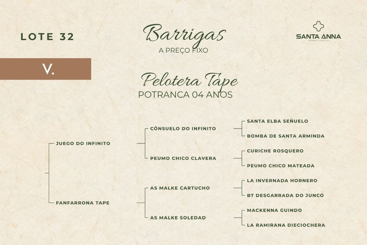 Geração PELOTERA TAPE