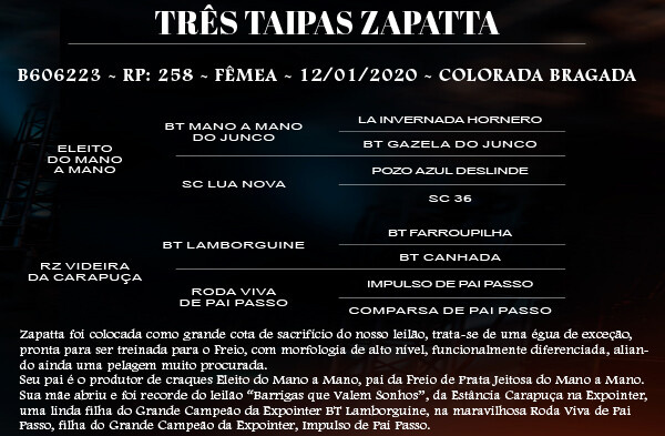 Geração TRES TAIPAS ZAPATTA