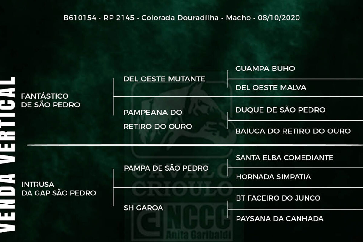 Geração GAP ORIGINAL