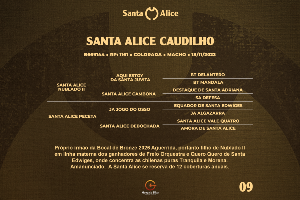 Geração SANTA ALICE CAUDILHO