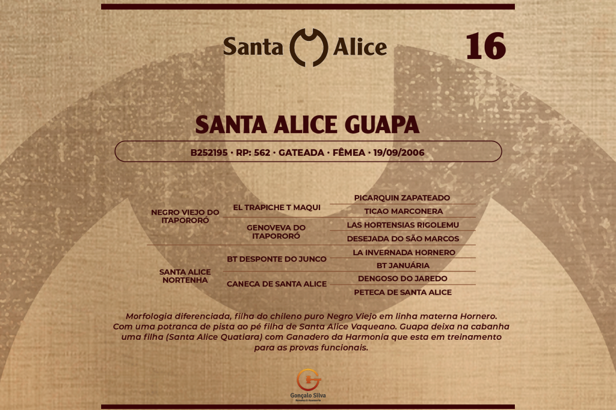 Geração SANTA ALICE GUAPA