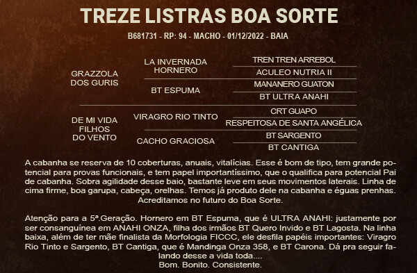 Geração TREZE LISTRAS BOA SORTE