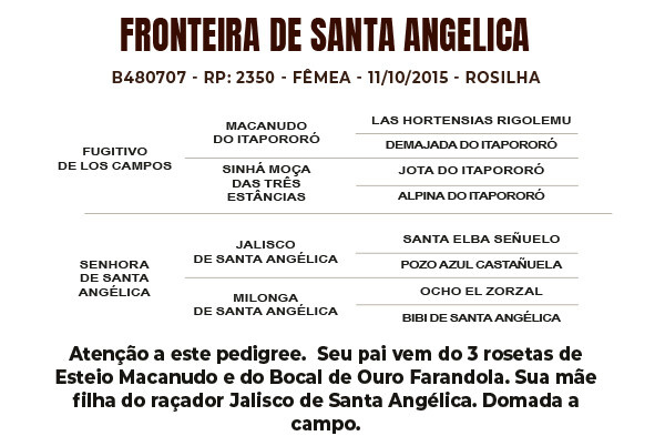 Geração FRONTEIRA DE SANTA ANGÉLICA