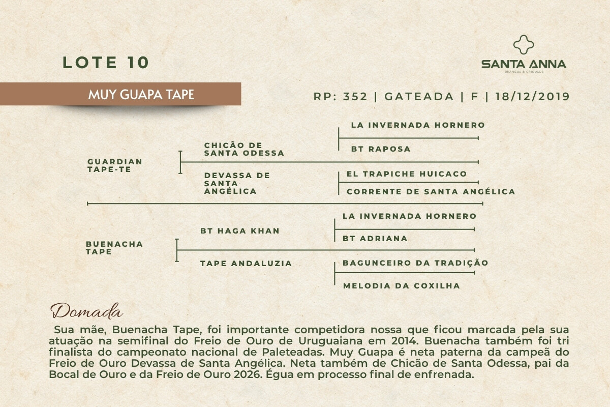Geração MUY GUAPA TAPE