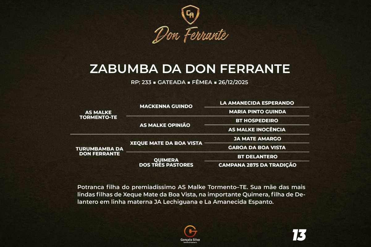 Geração ZABUMBA DA DON FERRANTE 