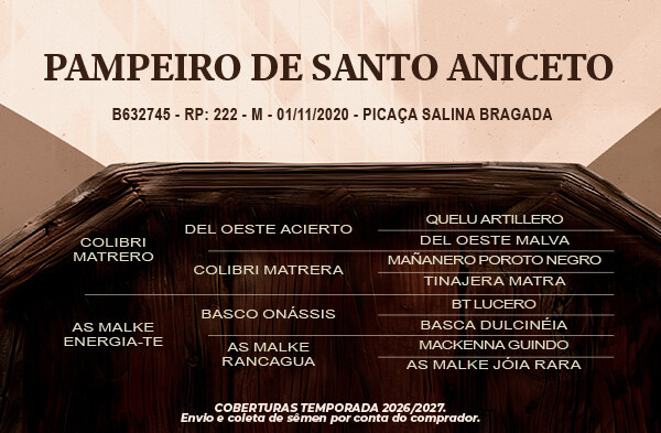 Geração Pampeiro de Santo Aniceto