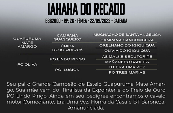 Geração IAHAHA DO RECADO 