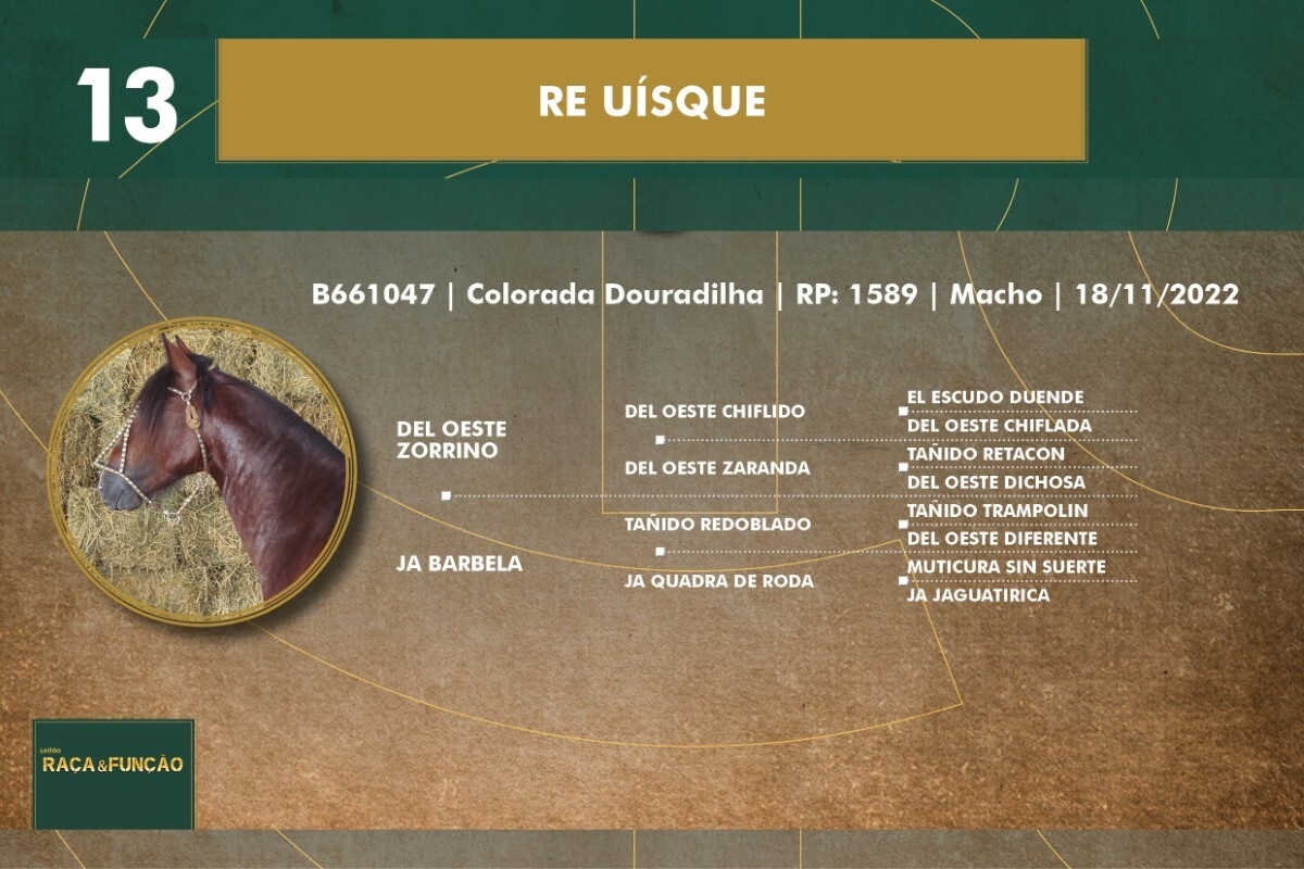 Geração RE UÍSQUE