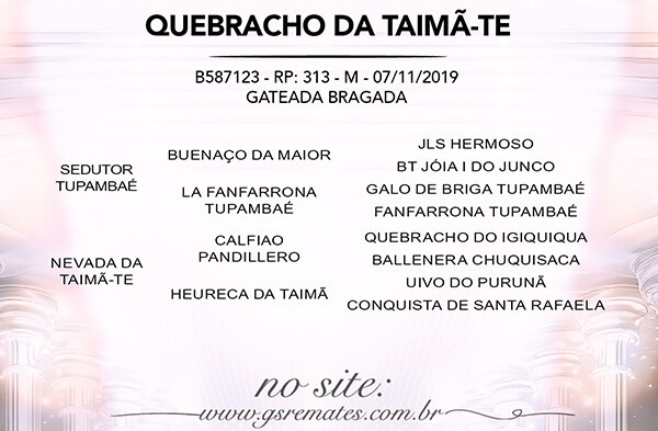 Geração QUEBRACHO DA TAIMÃ - TE