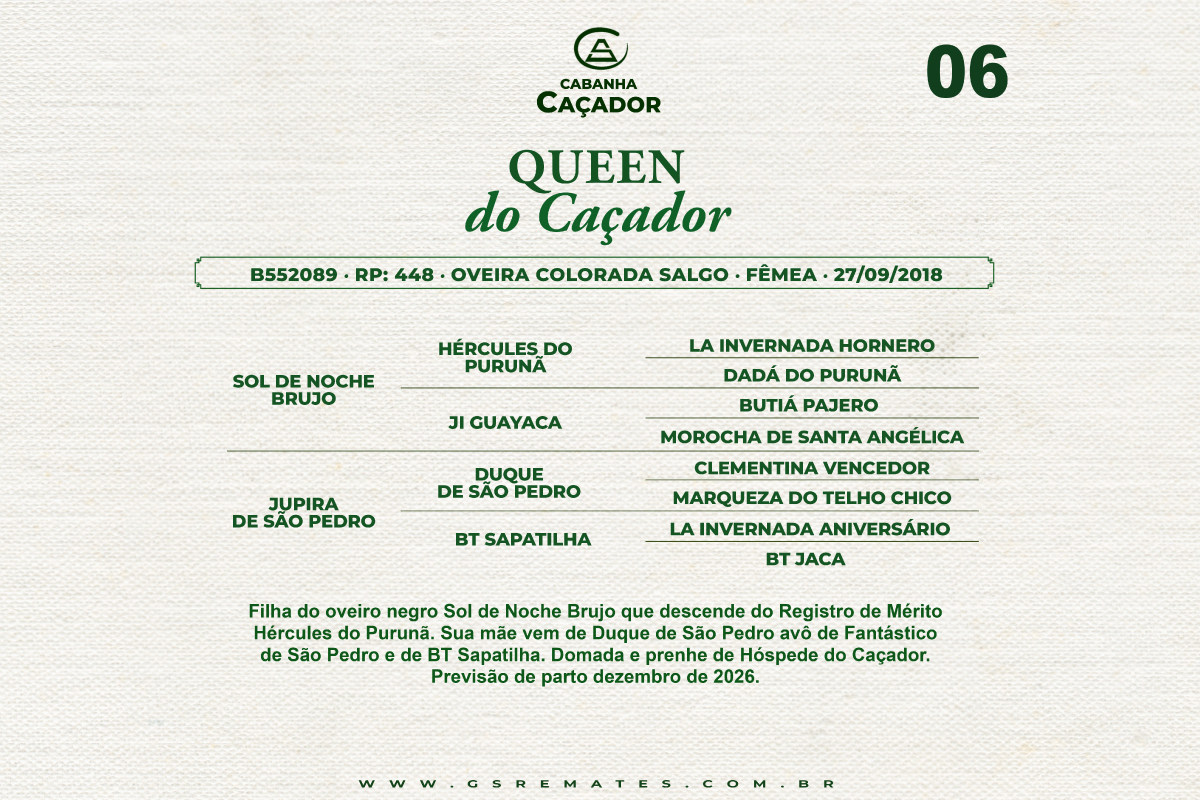 Geração QUEEN DO CAÇADOR 