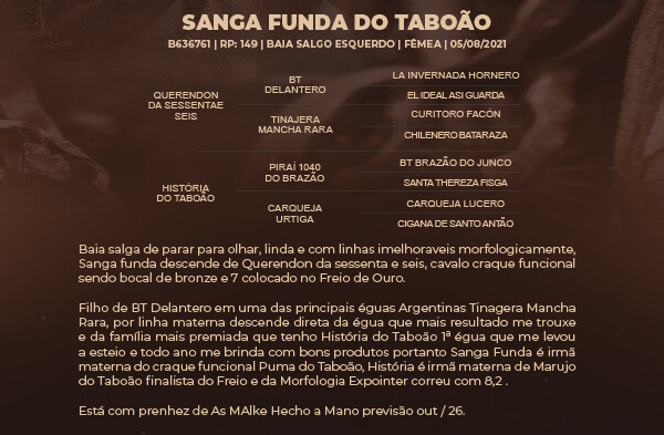 Geração SANGA FUNDA DO TABOÃO 