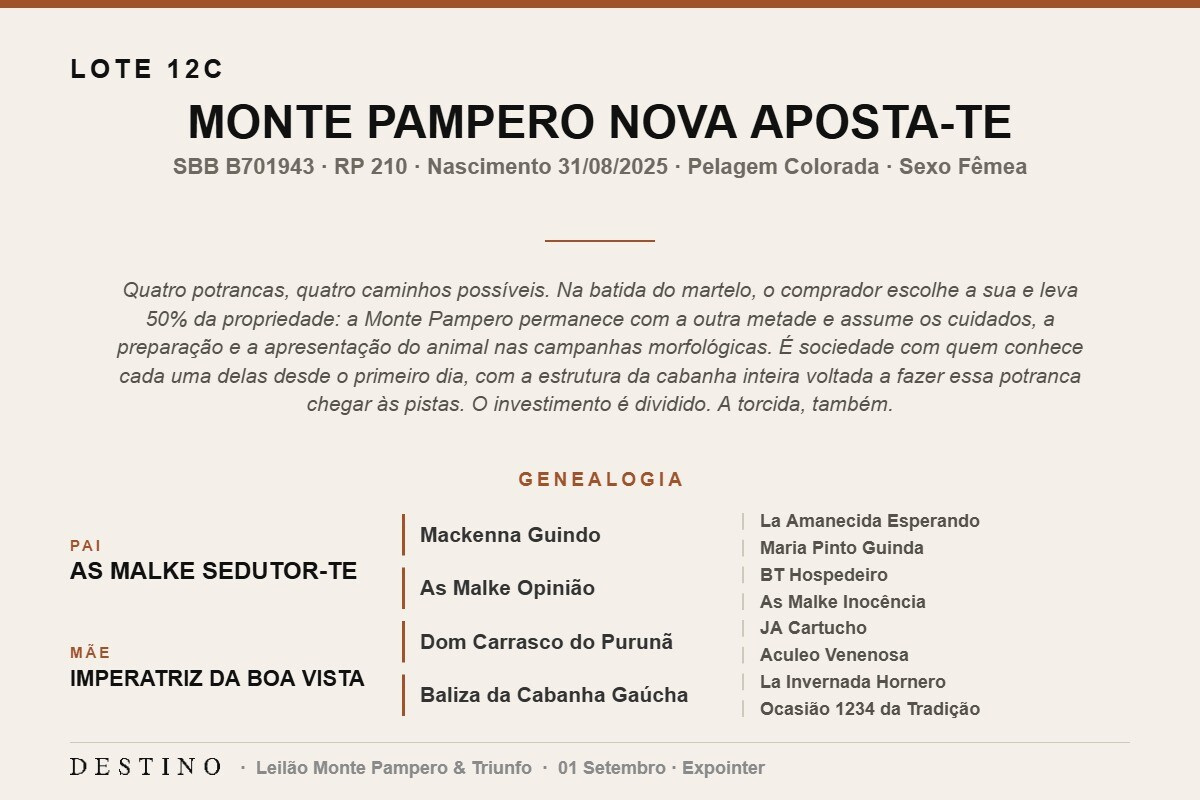 Geração MONTE PAMPERO NOVA APOSTA-TE - (Venda de 50% vertical)
