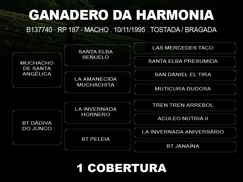 Geração COBERTURA GANADERO DA HARMONIA
