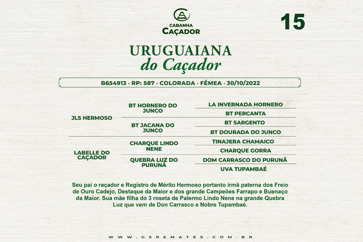 Geração URUGUAIANA DO CAÇADOR 