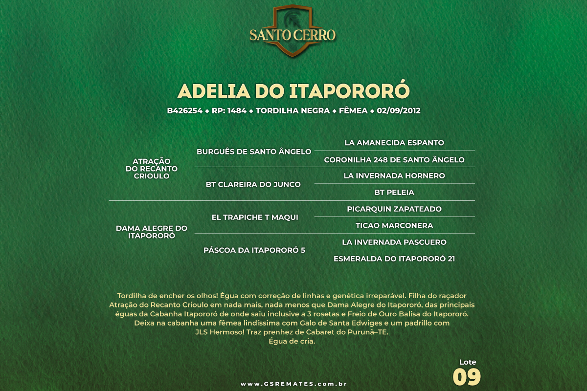 Geração ADELIA DO ITAPORORÓ