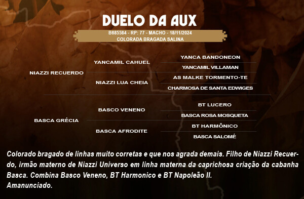 Geração DUELO DA AUX
