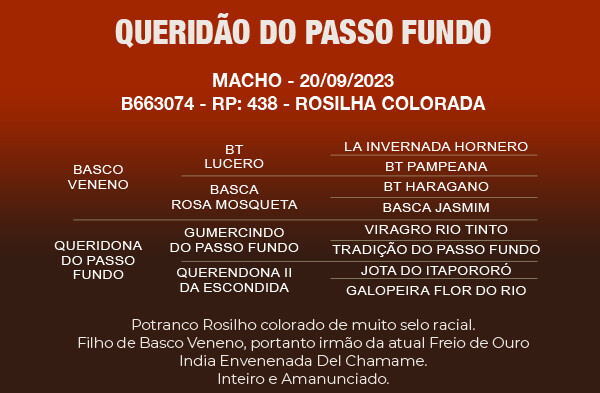 Geração QUERIDÃO DO PASSO FUNDO