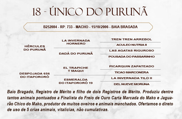 Geração DIREITO DE USO DE 5 COBERTURAS UNICO DO PURUNÃ