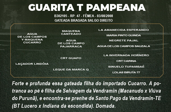 Geração GUARITA T PAMPEANA 