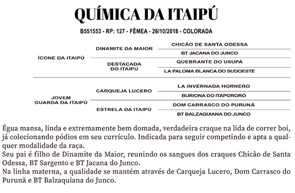 Geração QUÍMICA DA ITAIPÚ