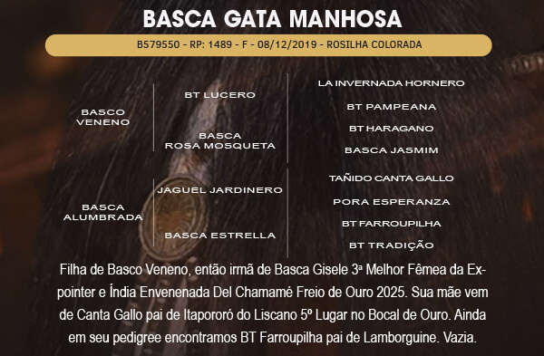 Geração BASCA GATA MANHOSA 