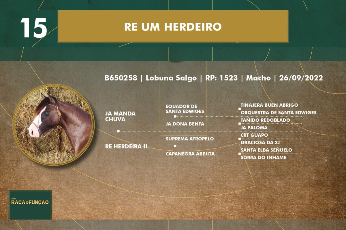 Geração RE UM HERDEIRO