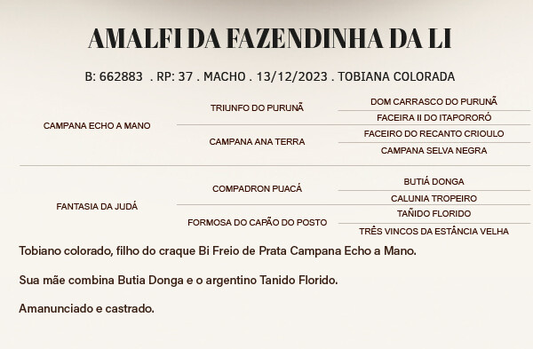 Geração AMALFI DA FAZENDINHA DA LI