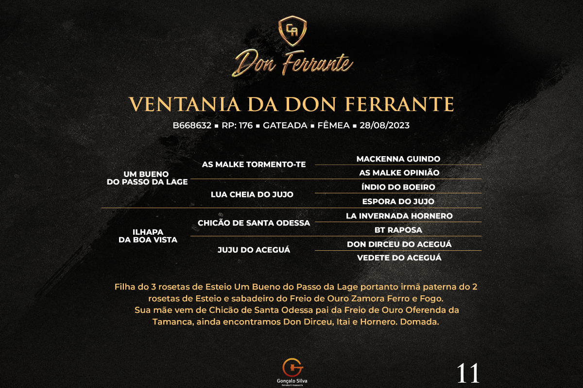 Geração VENTANIA DA DON FERRANTE 
