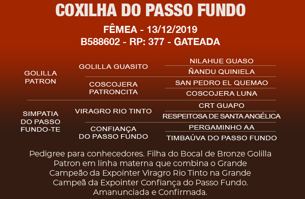 Geração COXILHA DO PASSO FUNDO