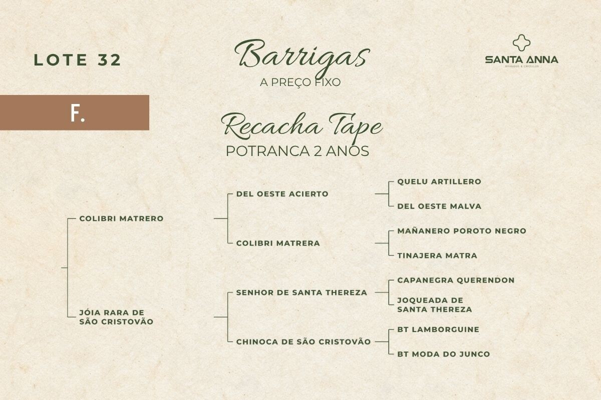 Geração RECACHA TAPE