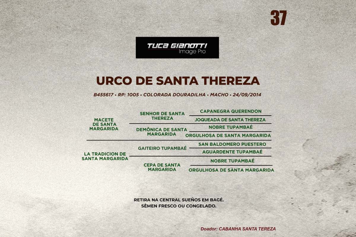 Geração URCO DE SANTA THEREZA