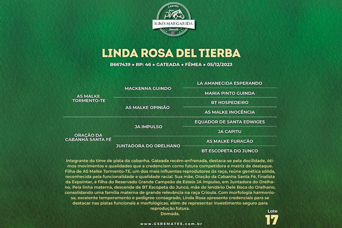 Geração LINDA ROSA DEL TIERBA