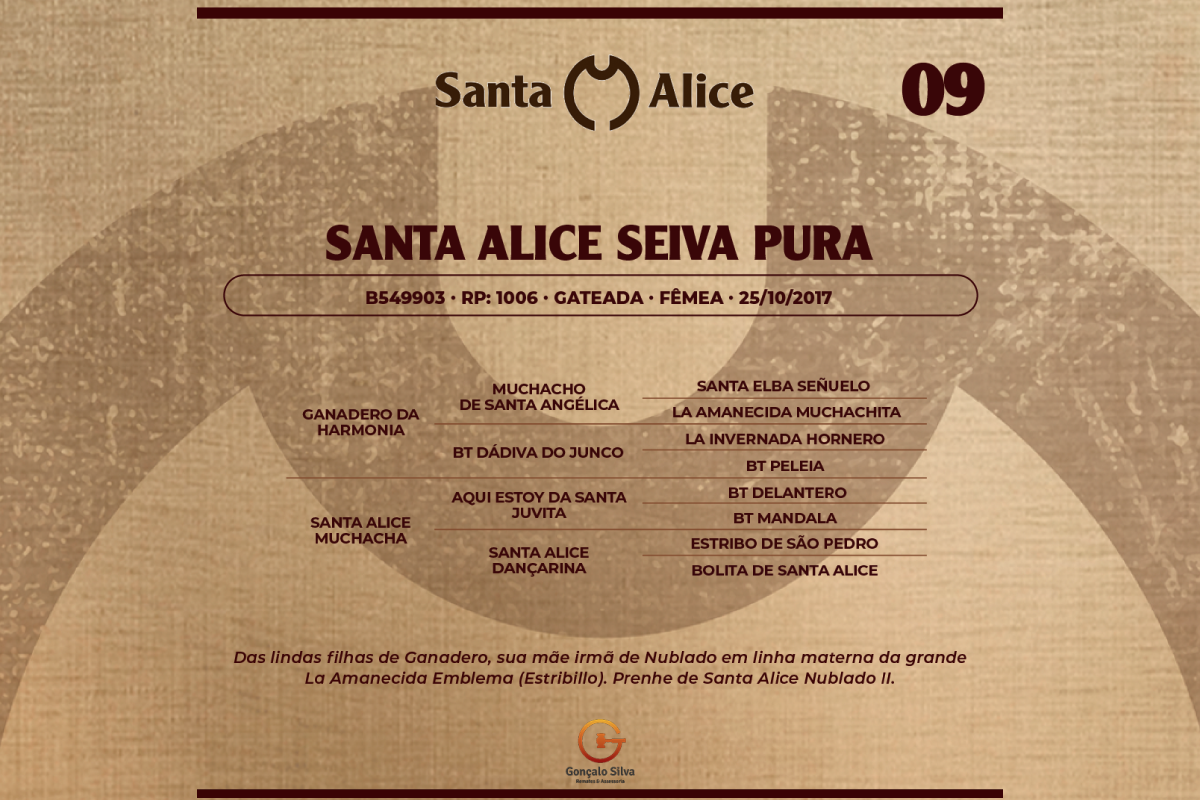 Geração SANTA ALICE SEIVA PURA