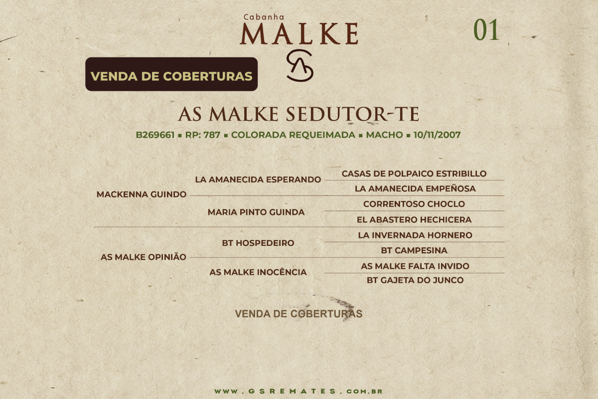 Geração COBERTURAS AS MALKE SEDUTOR - TE