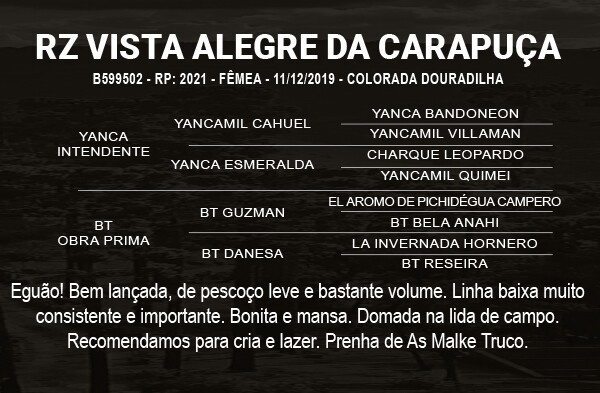 Geração RZ VISTA ALEGRE DA CARAPUÇA