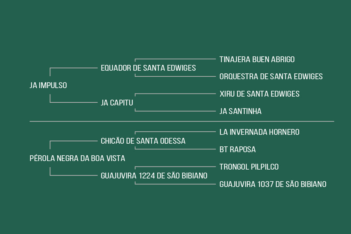 Geração XARLA DA CABANHA SANTA FÉ