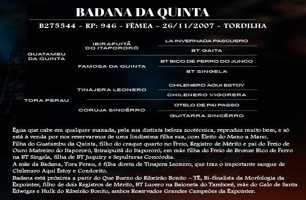 Geração BADANA DA QUINTA