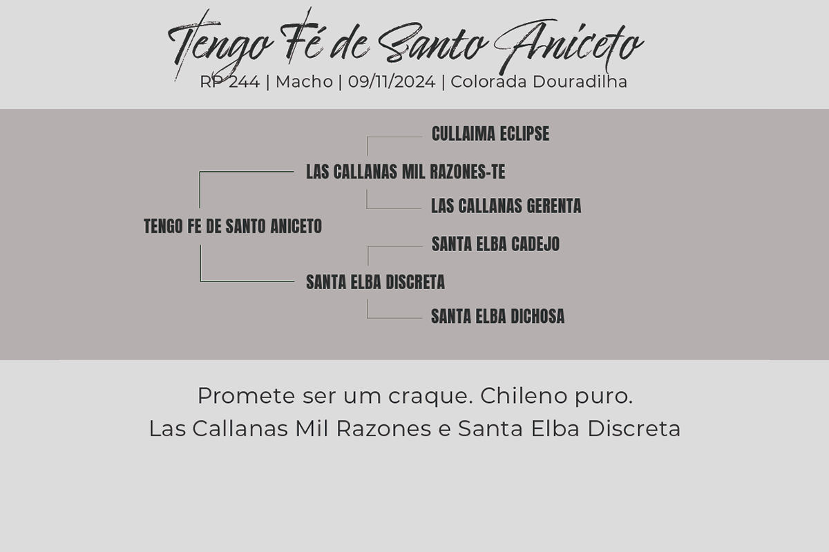 Geração TENGO FÉ DE SANTO ANICETO