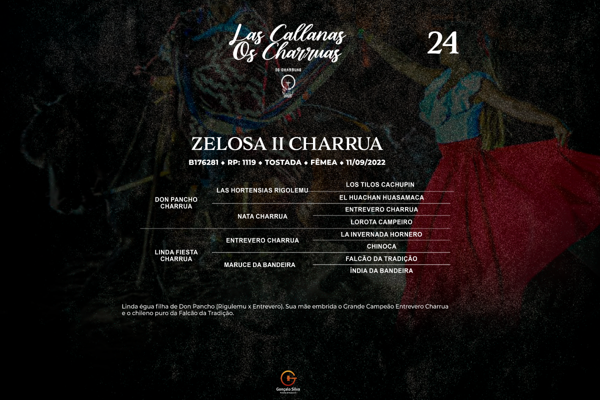 Geração ZELOSAII CHARRUA