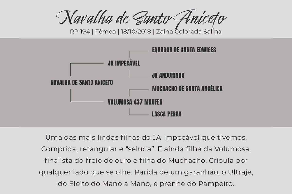 Geração NAVALHA DE SANTO ANICETO