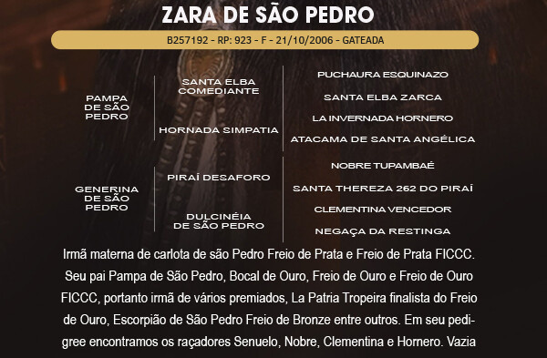Geração ZARA DE SÃO PEDRO