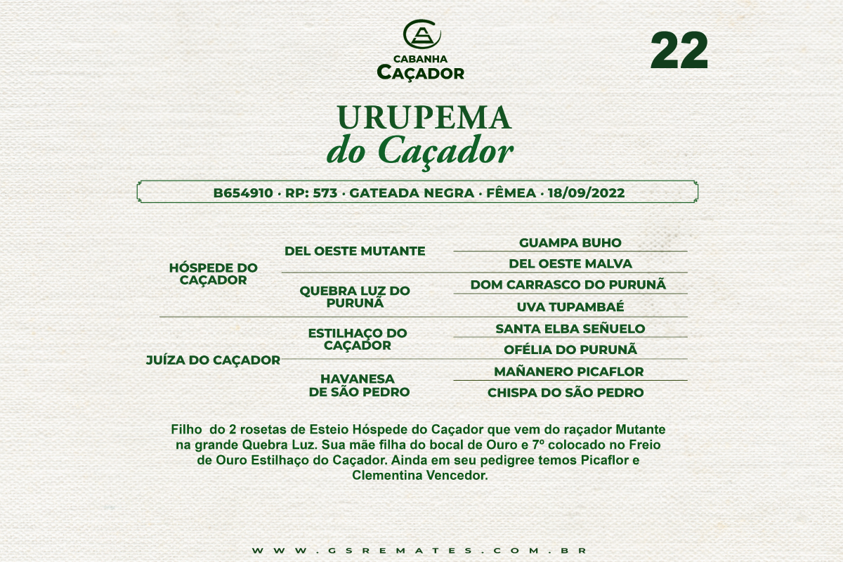 Geração URUPEMA DO CAÇADOR 