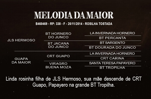 Geração MELODIA DA MAIOR 