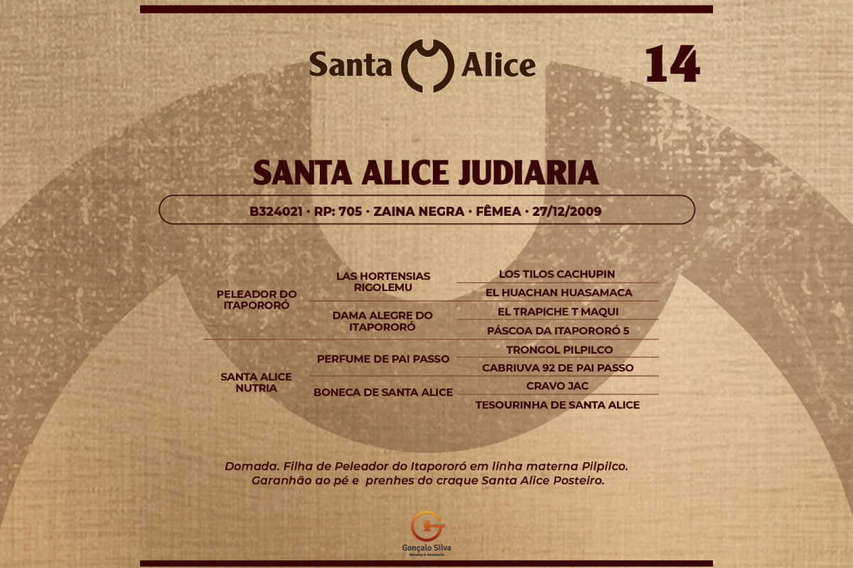 Geração SANTA ALICE JUDIARIA
