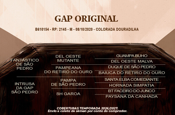 Geração Gap Original