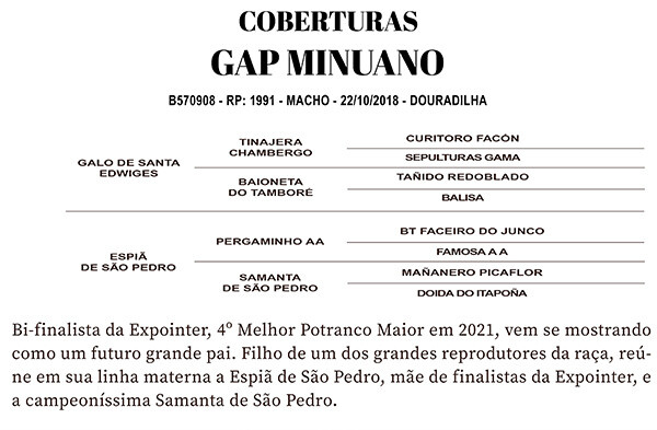 Geração COBERTURAS GAP MINUANO