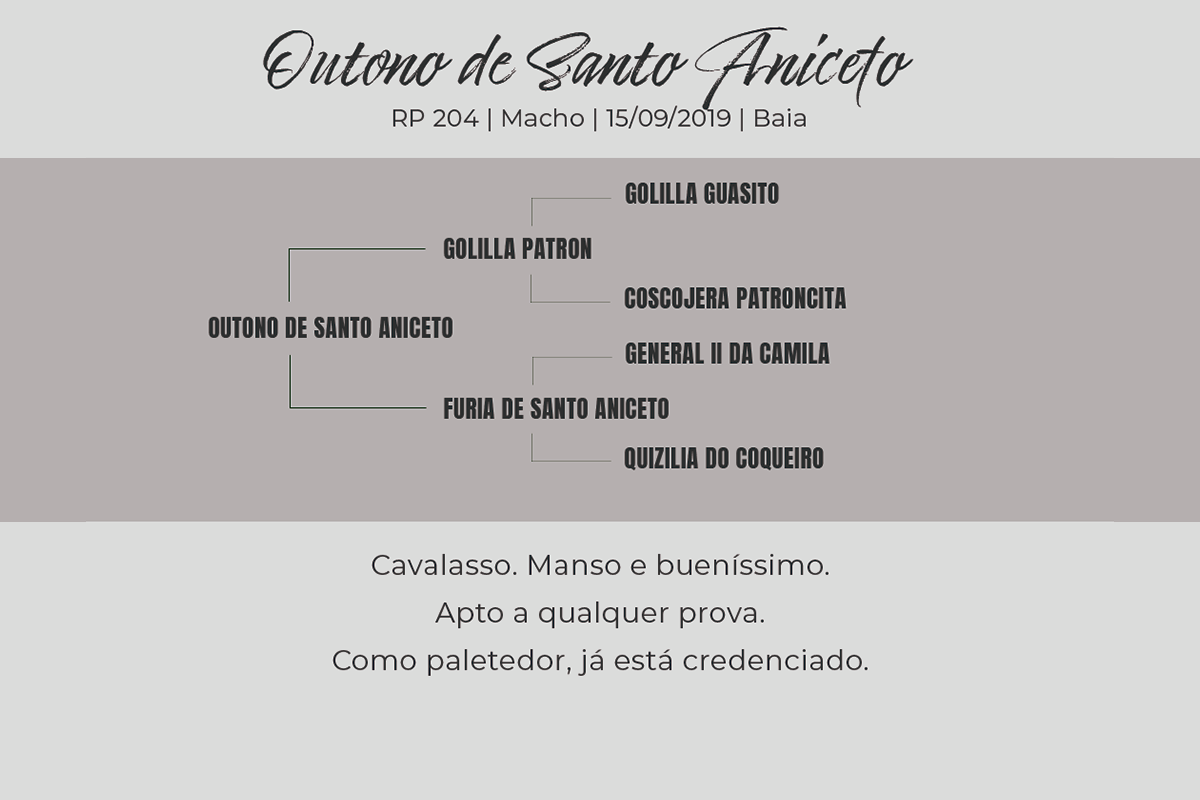 Geração OUTONO DE SANTO ANICETO