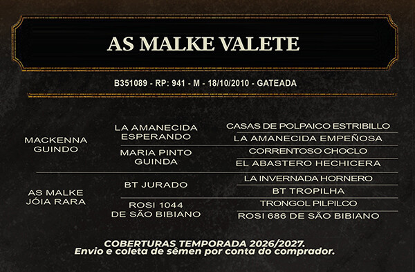 Geração AS MALKE VALETE 